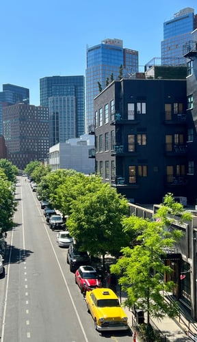 Tree-lined street in Greenpoint Brooklyn with skyline views